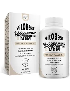 GLUCOSAMINE+CHONDROITIN+MSM 60 CAPS