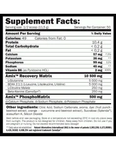 RECOVERY MAX 575 GR - AMIX NUTRITION 2