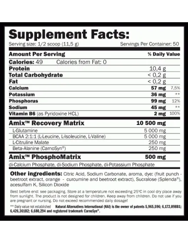 RECOVERY MAX 575 GR - AMIX NUTRITION