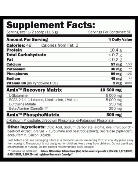 RECOVERY MAX 575 GR - AMIX NUTRITION
