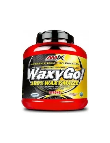 WAXYGO! AMYLOPECTIN 2 KG - AMIX NUTRITION