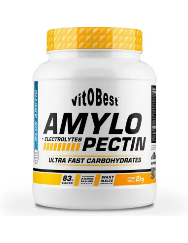 AMYLOPECTIN+ELECTROLYTES 1800 GR - BLUE ARCTIC