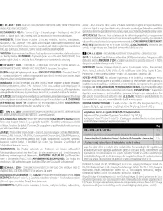 BCAA 8:1:1 ZERO 250 GR - BIOTECH USA 2
