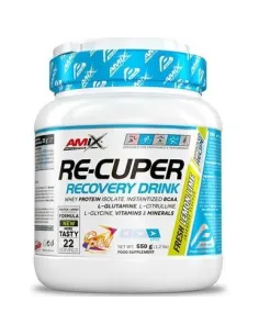 AMIX RE-CUPER 550 GR - AMIX PERFORMANCE 2