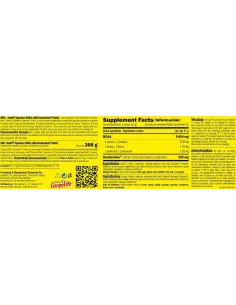 SYNCHRO BCAA + SUSTAMINE 300 GR - AMIX PRO 2