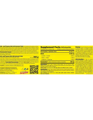SYNCHRO BCAA + SUSTAMINE 300 GR - AMIX PRO