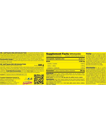 SYNCHRO BCAA + SUSTAMINE 300 GR - AMIX PRO