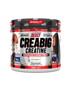 CREABIG CREATINE CREAPURE 250 GR - BIG 2