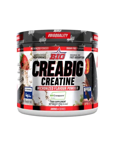 CREABIG CREATINE CREAPURE 250 GR - BIG