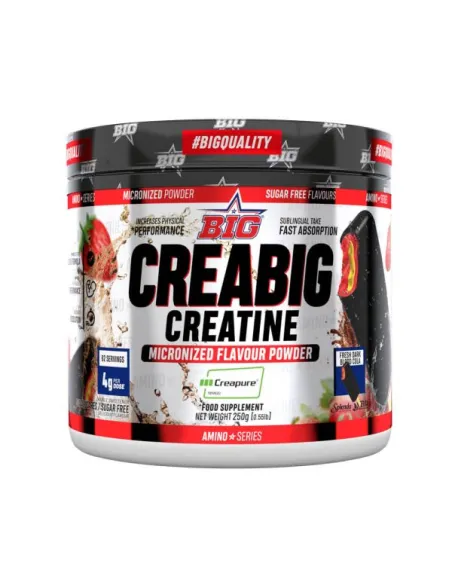 CREABIG CREATINE CREAPURE 250 GR - BIG